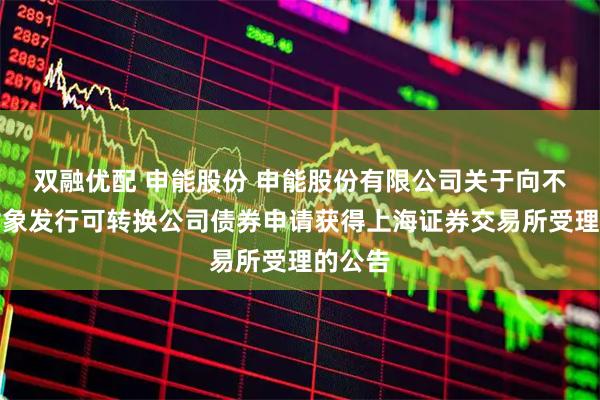 双融优配 申能股份 申能股份有限公司关于向不特定对象发行可转换公司债券申请获得上海证券交易所受理的公告