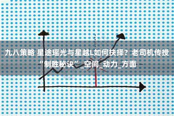 九八策略 星途瑶光与星越L如何抉择？老司机传授“制胜秘诀”_空间_动力_方面
