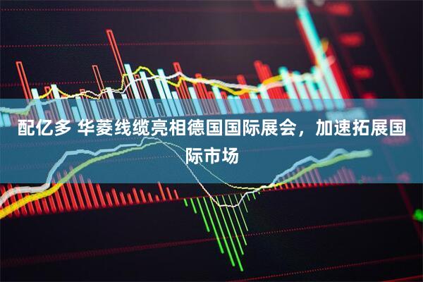 配亿多 华菱线缆亮相德国国际展会，加速拓展国际市场