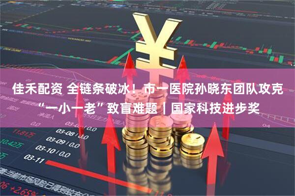 佳禾配资 全链条破冰!市一医院孙晓东团队攻克“一小一老”致盲难题|国家科技进步奖